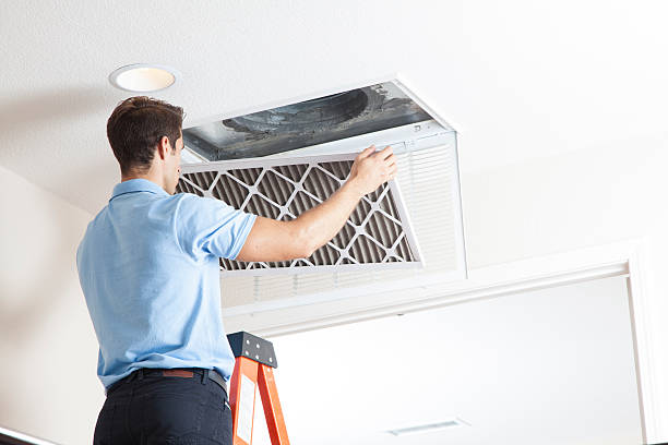 Best Local HVAC Companies  in Freeport, TX